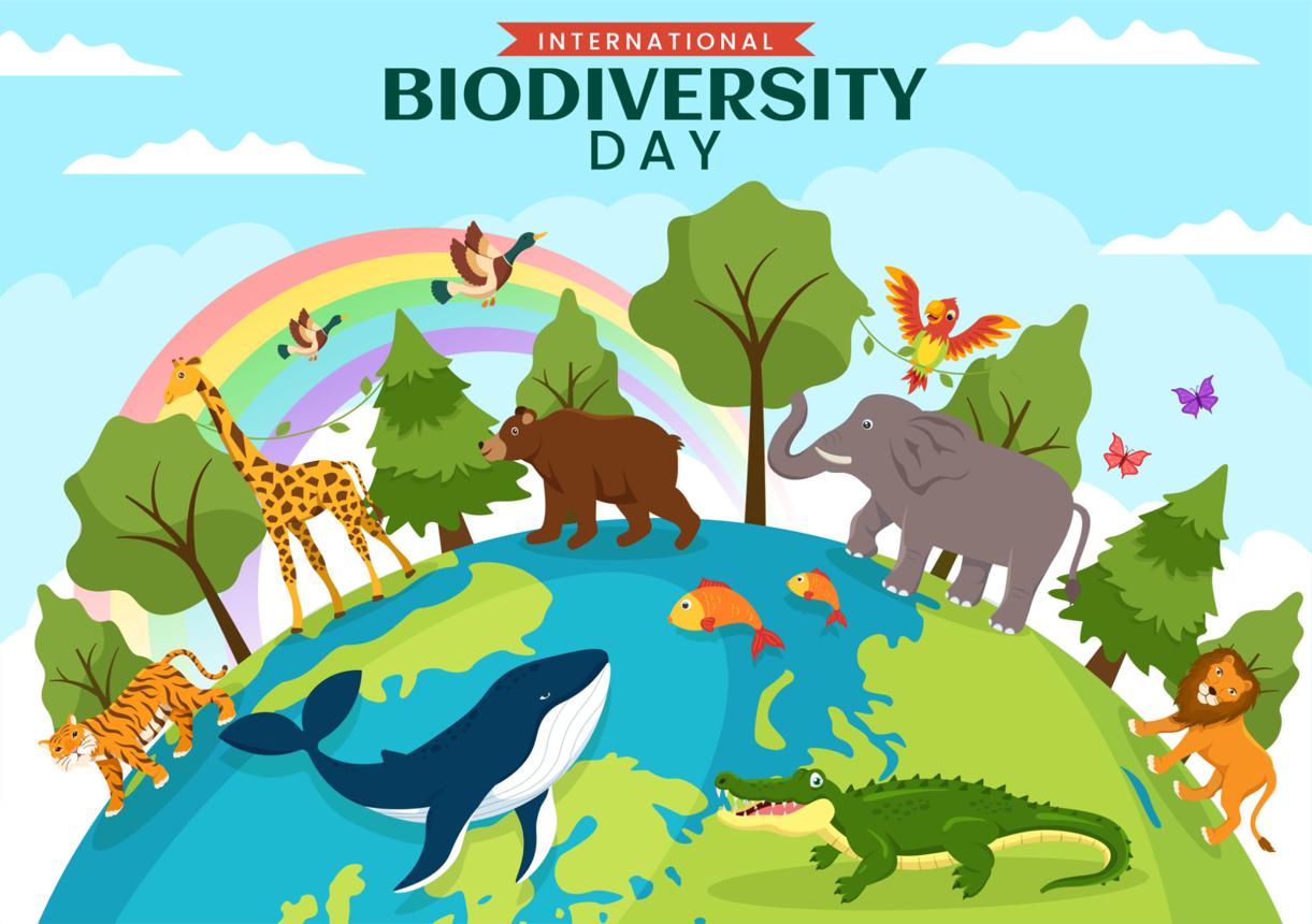 International Day for Biological Diversity