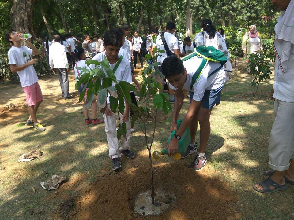 World Environment Day